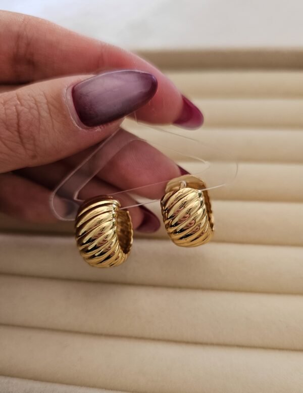 Argollas max textu