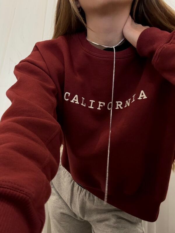 Collar corbatero shine