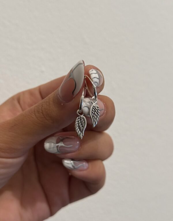 Argollitas alitas plata