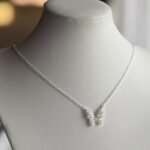 Imagen anterior del producto