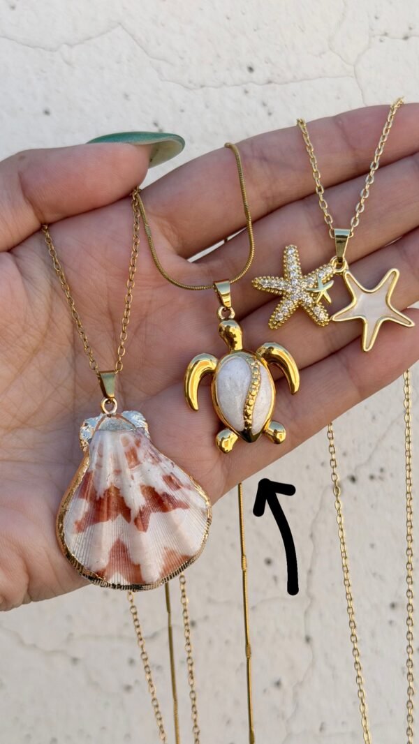 Collar tortuga nácar